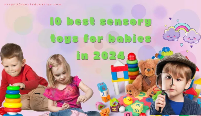 10 Best Sensory Toys for Babies In 2024